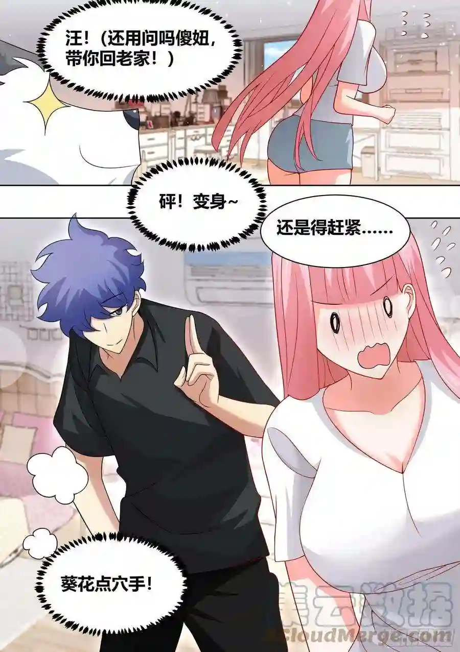 直播：女神家的哈士奇天秀242-话老家