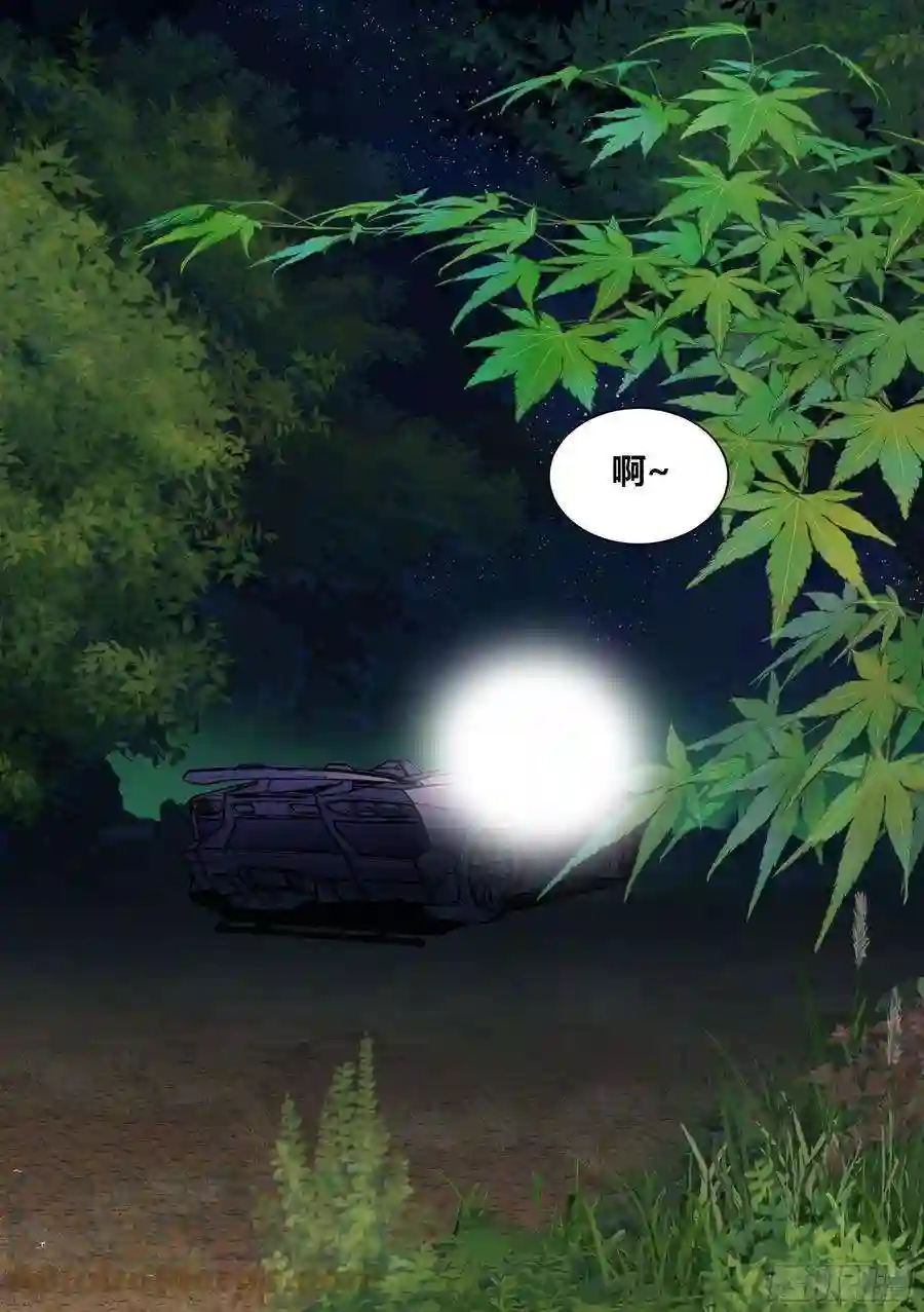 直播：女神家的哈士奇天秀251-枫林晚
