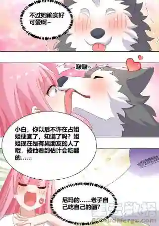 直播：女神家的哈士奇天秀255-异界吗？