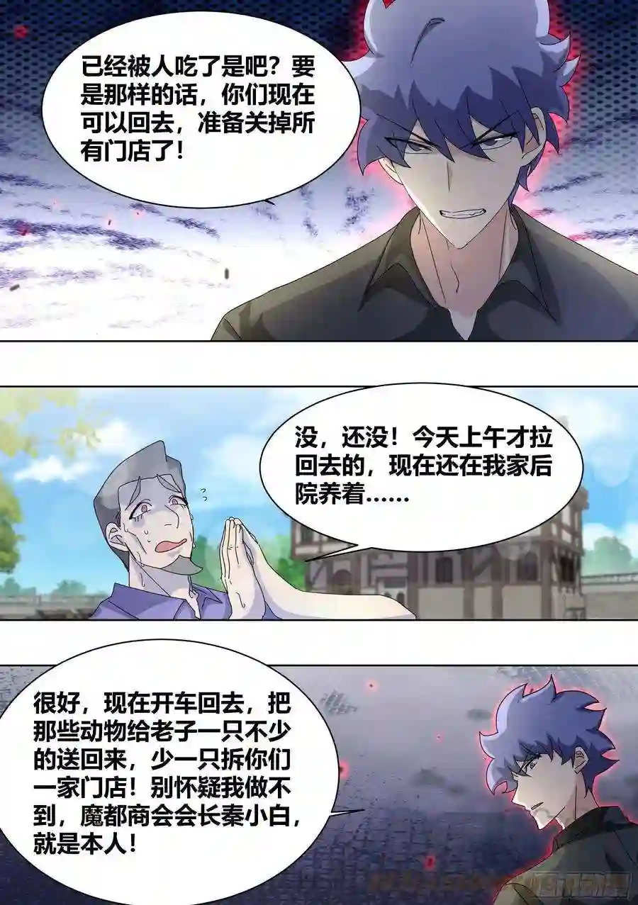 直播：女神家的哈士奇天秀257-准备拆家