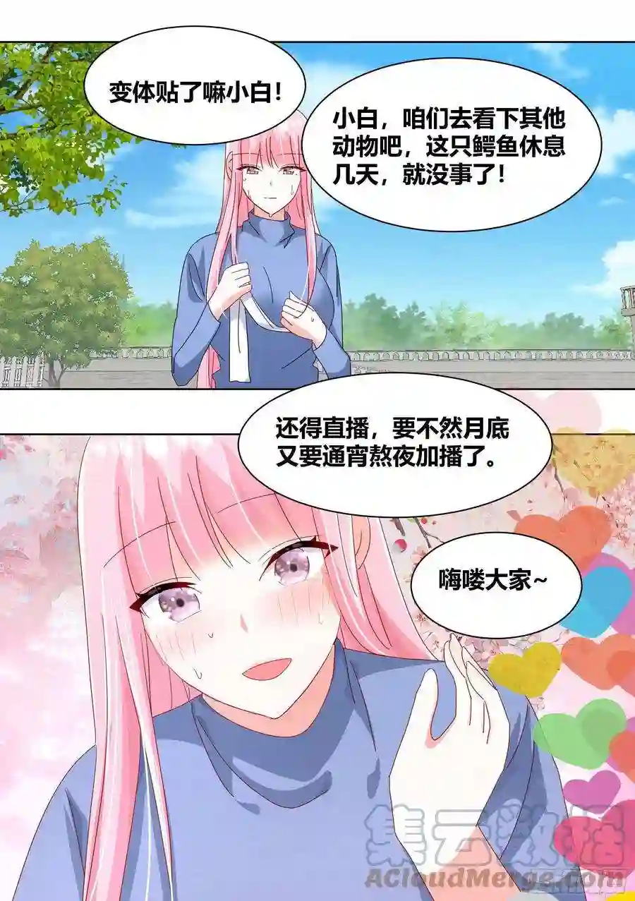 直播：女神家的哈士奇天秀257-准备拆家