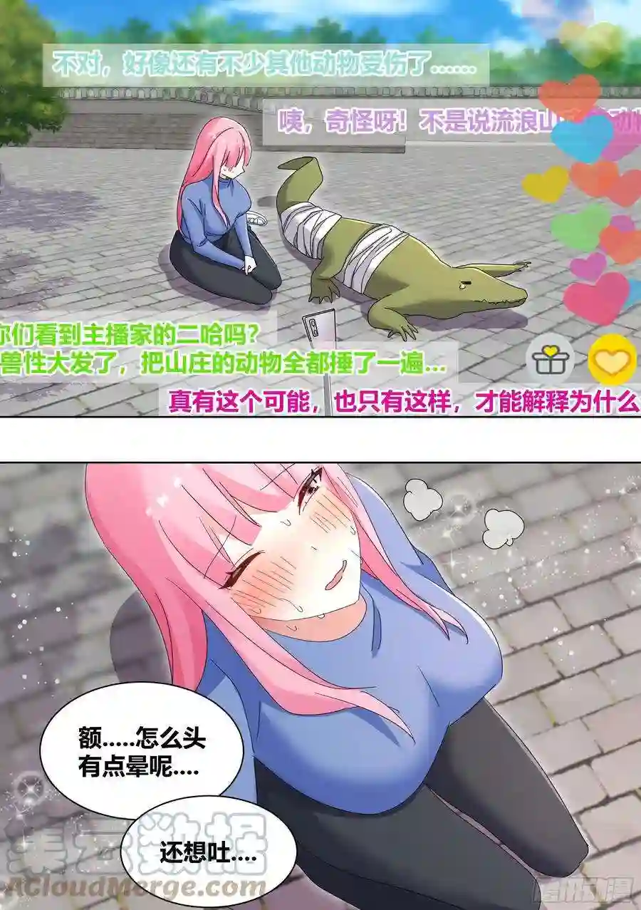 直播：女神家的哈士奇天秀257-准备拆家