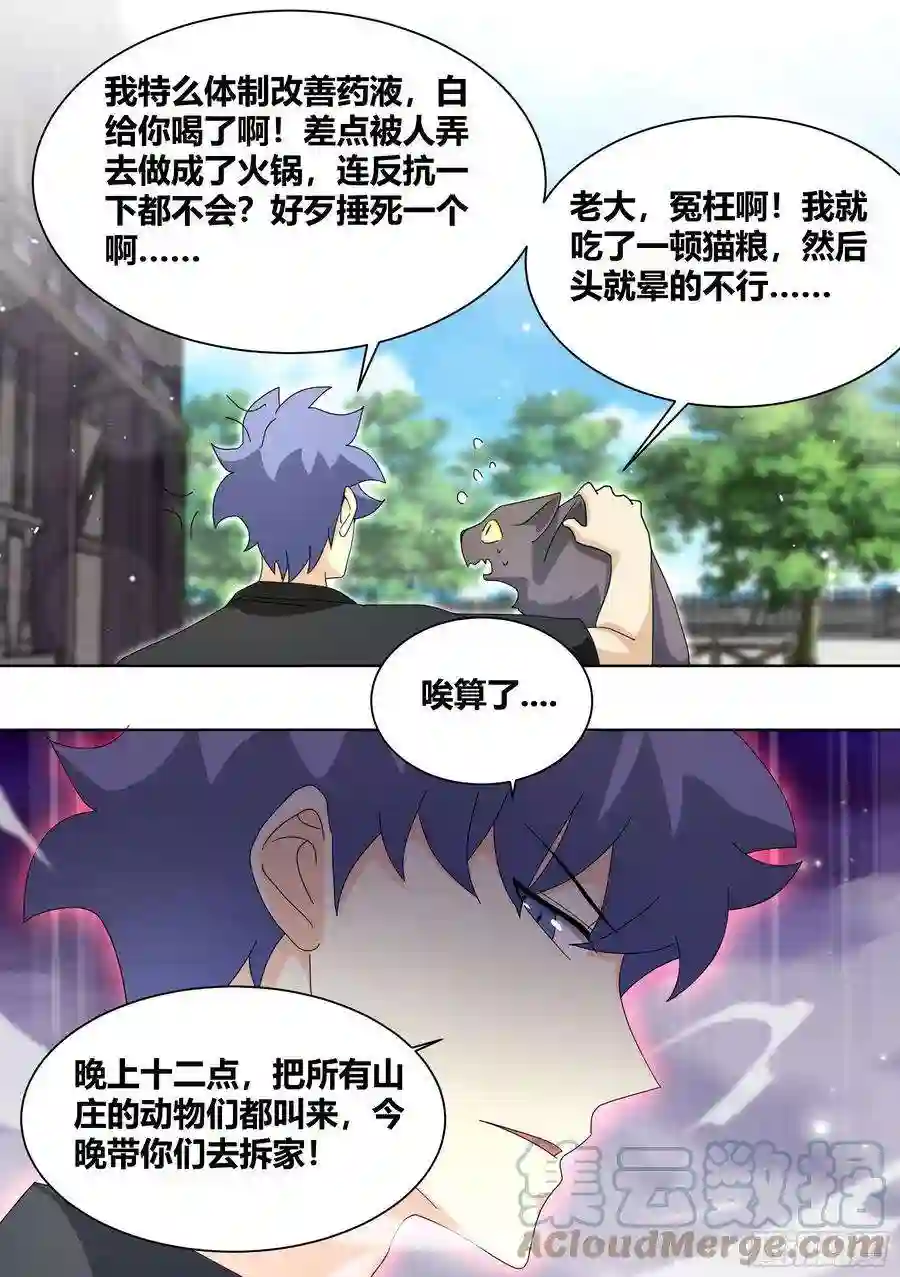 直播：女神家的哈士奇天秀257-准备拆家