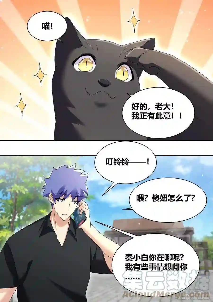 直播：女神家的哈士奇天秀257-准备拆家