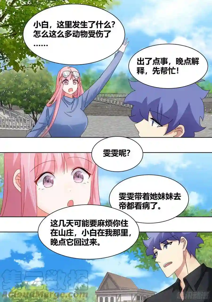 直播：女神家的哈士奇天秀257-准备拆家