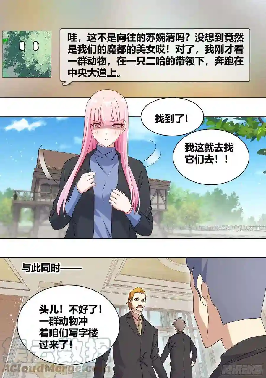 直播：女神家的哈士奇天秀258-动物拆迁队