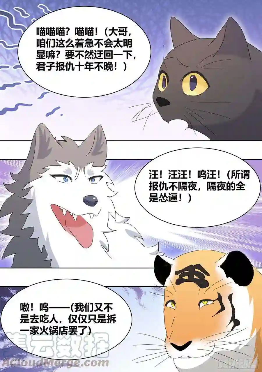 直播：女神家的哈士奇天秀258-动物拆迁队