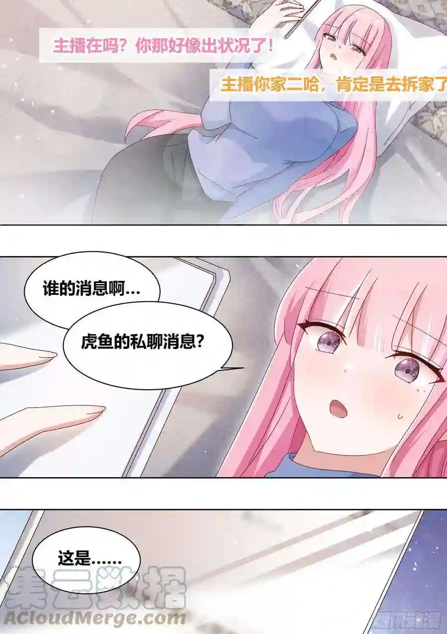 直播：女神家的哈士奇天秀258-动物拆迁队