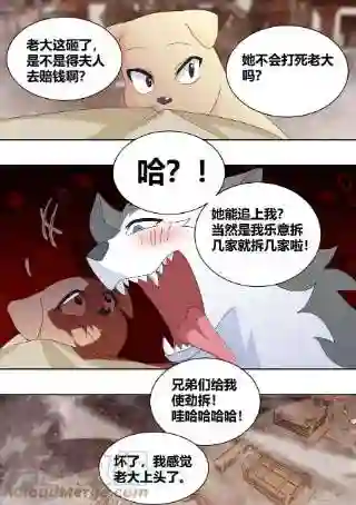 直播：女神家的哈士奇天秀259-拆家是动物的本质