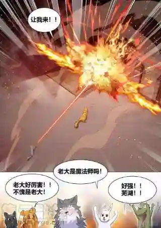 直播：女神家的哈士奇天秀259-拆家是动物的本质