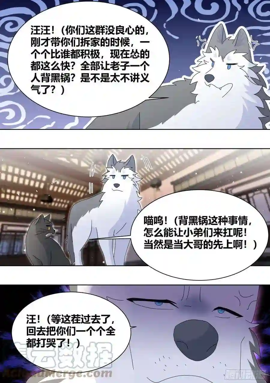 直播：女神家的哈士奇天秀260-真正的王