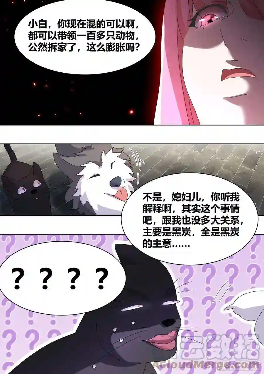 直播：女神家的哈士奇天秀260-真正的王