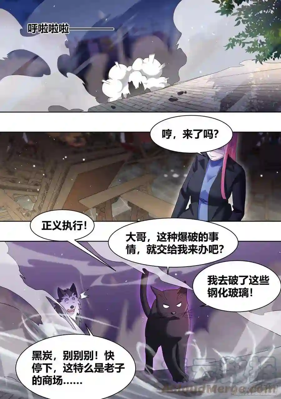 直播：女神家的哈士奇天秀260-真正的王