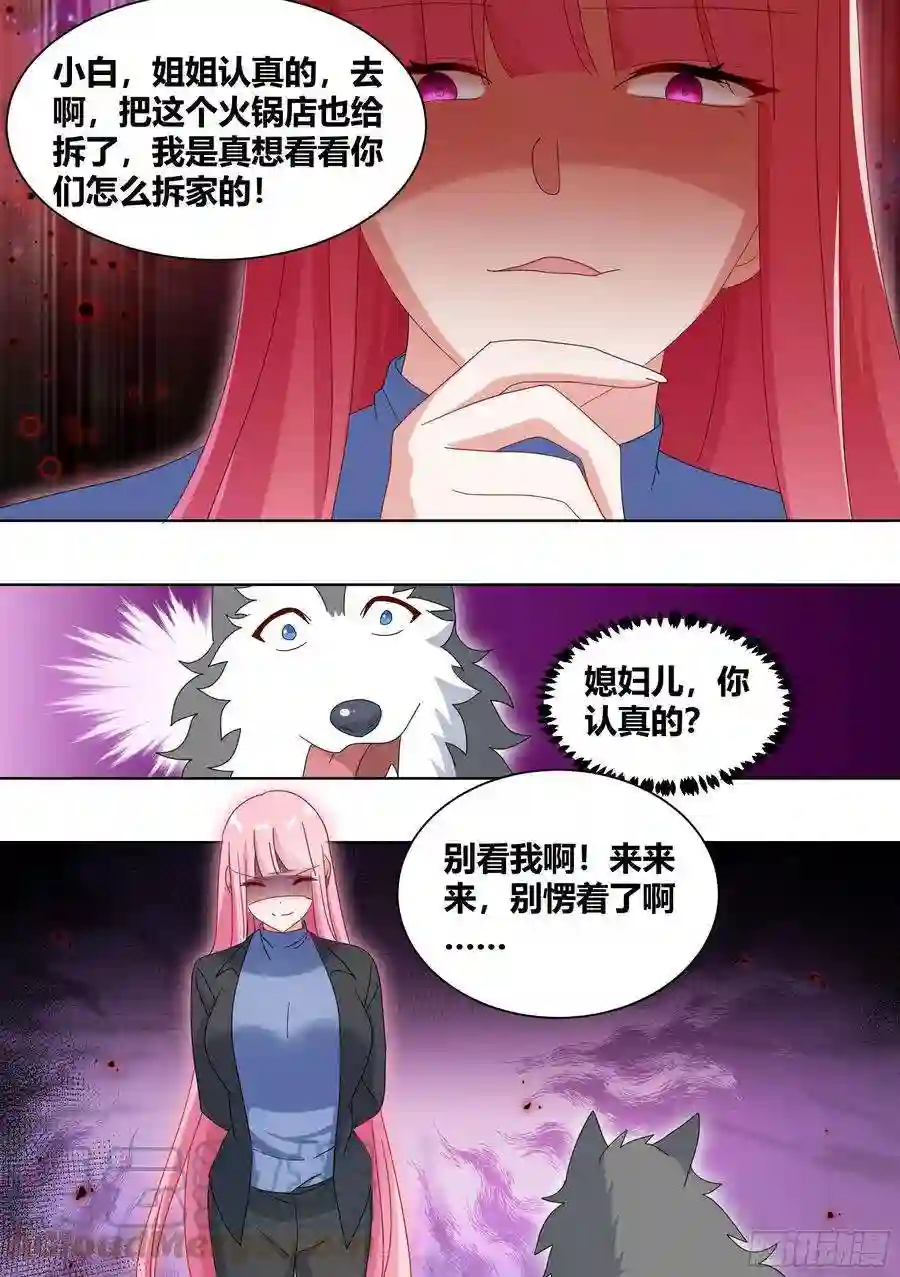 直播：女神家的哈士奇天秀261-黑炭与黑锅