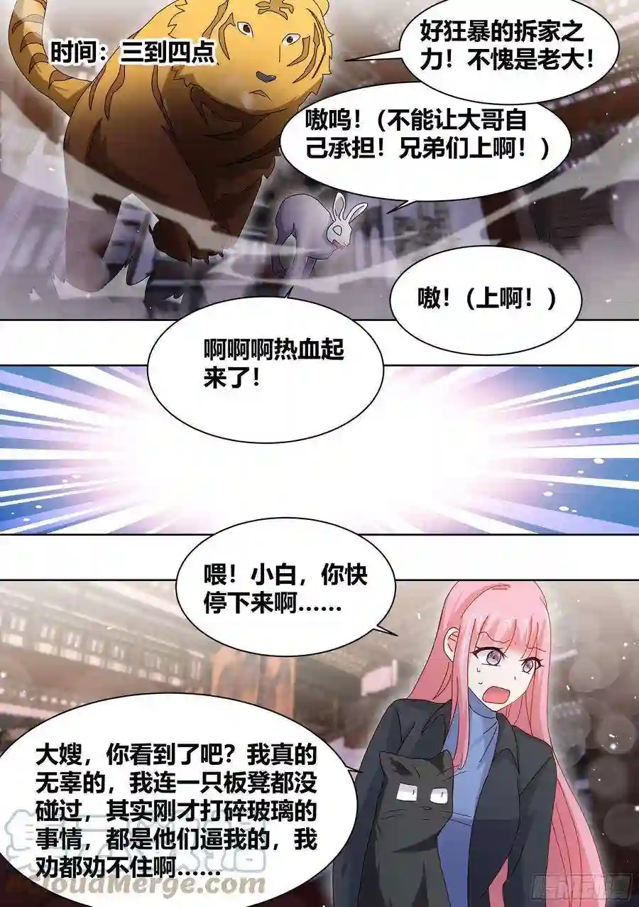 直播：女神家的哈士奇天秀261-黑炭与黑锅