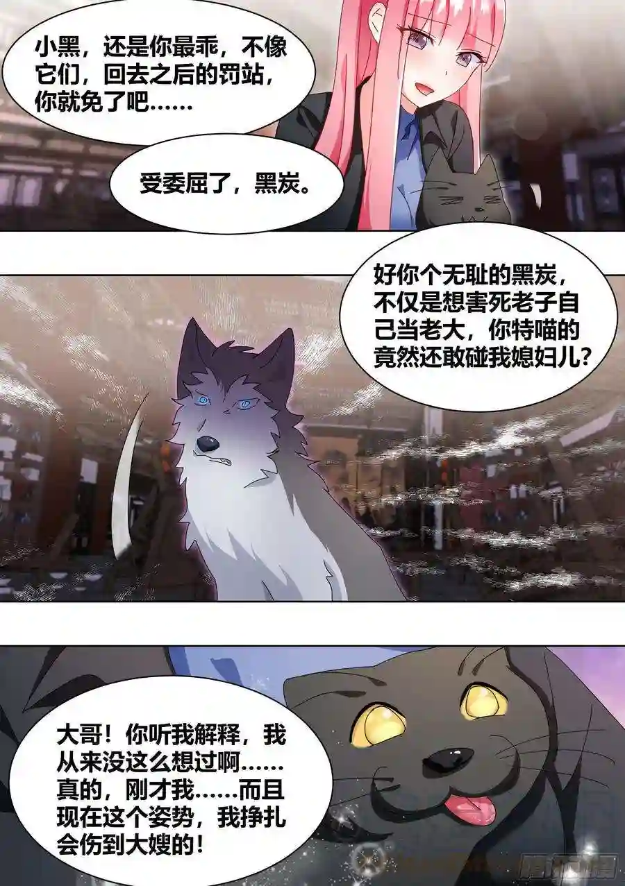 直播：女神家的哈士奇天秀261-黑炭与黑锅