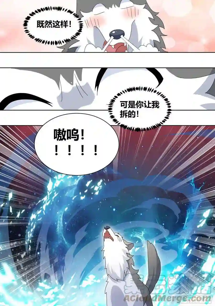 直播：女神家的哈士奇天秀261-黑炭与黑锅