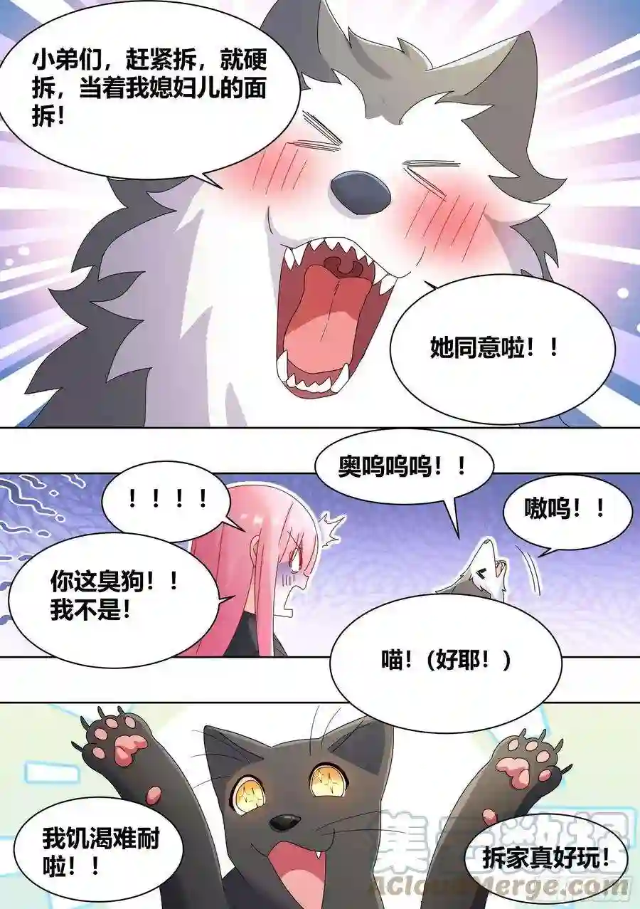 直播：女神家的哈士奇天秀261-黑炭与黑锅