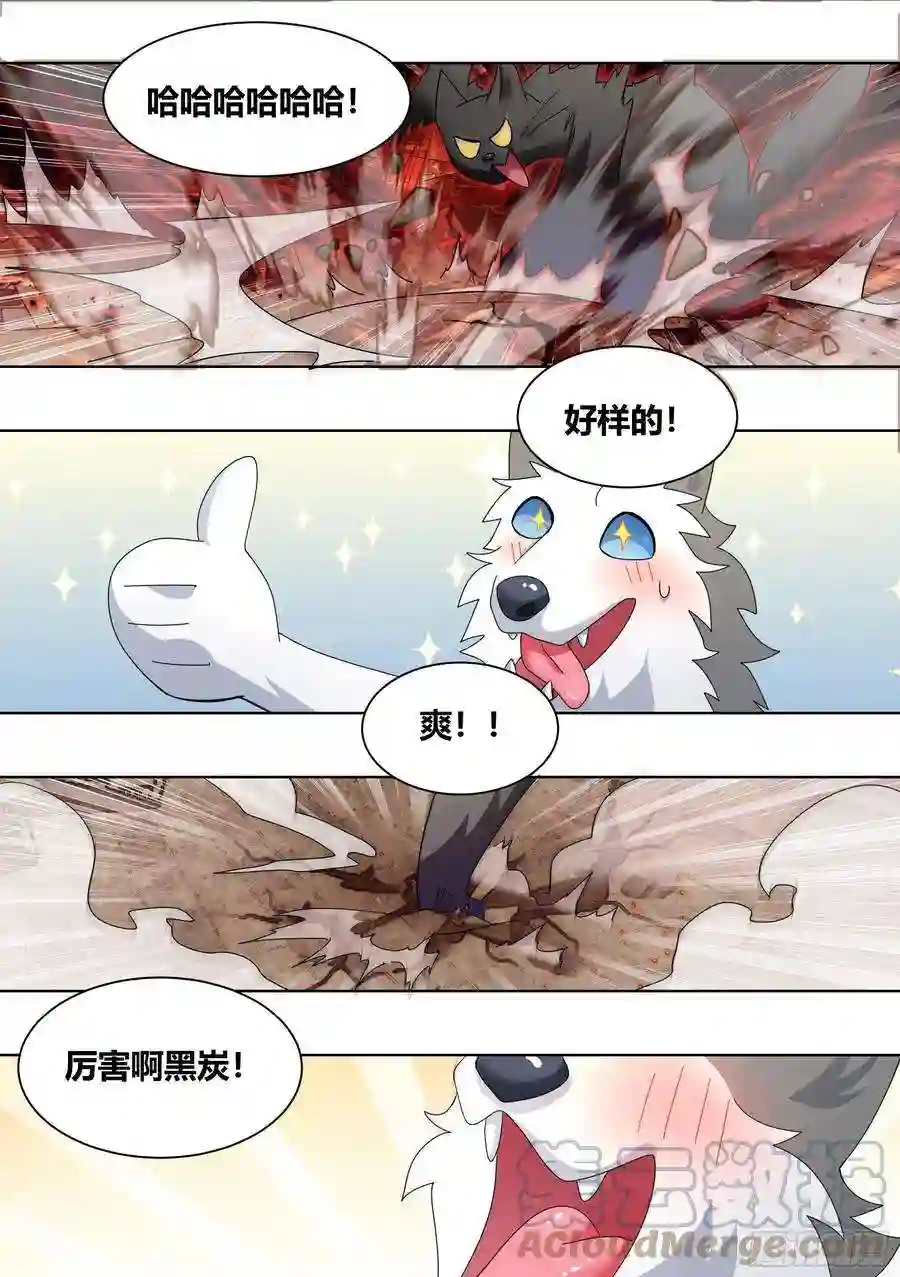 直播：女神家的哈士奇天秀261-黑炭与黑锅