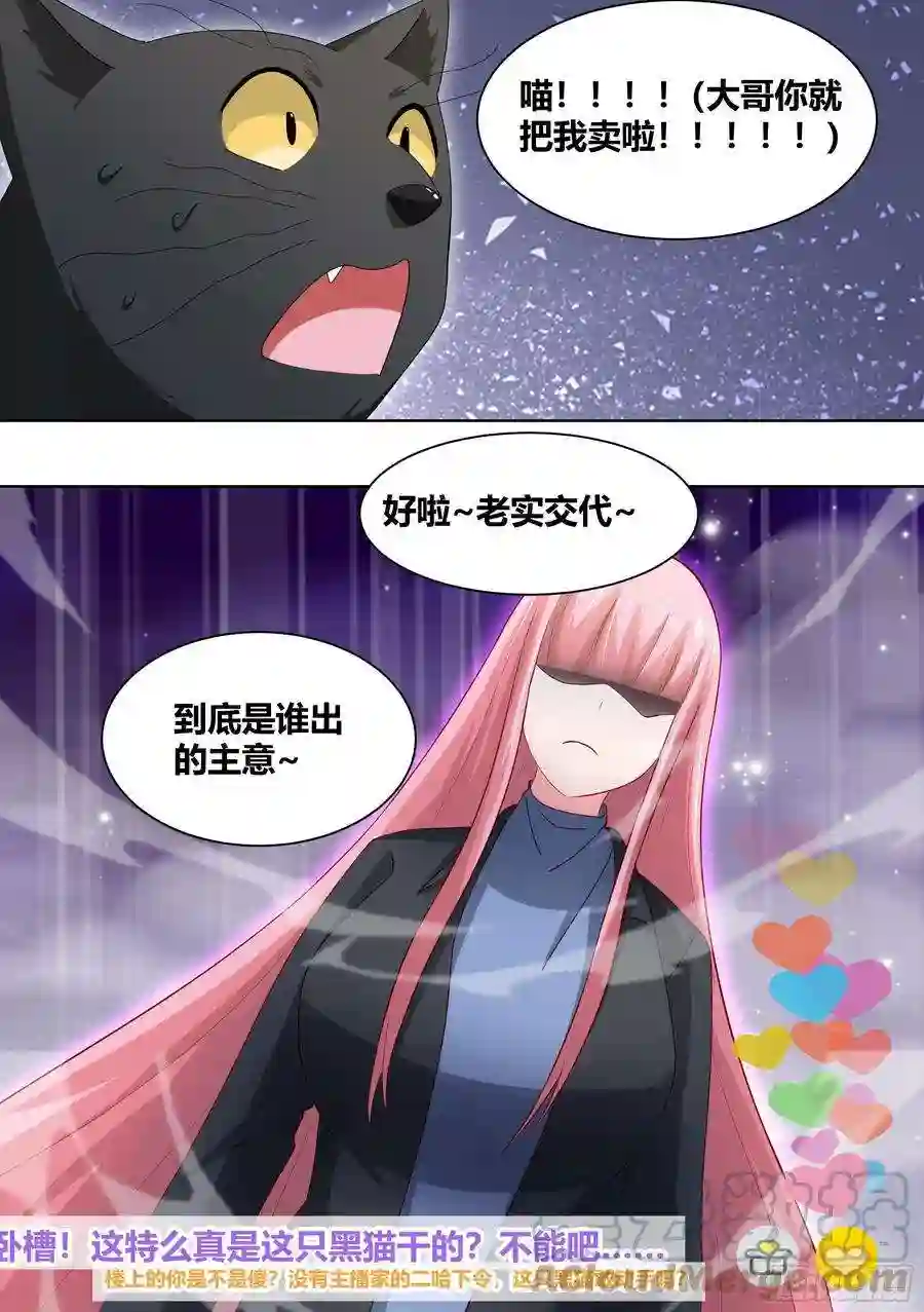 直播：女神家的哈士奇天秀261-黑炭与黑锅