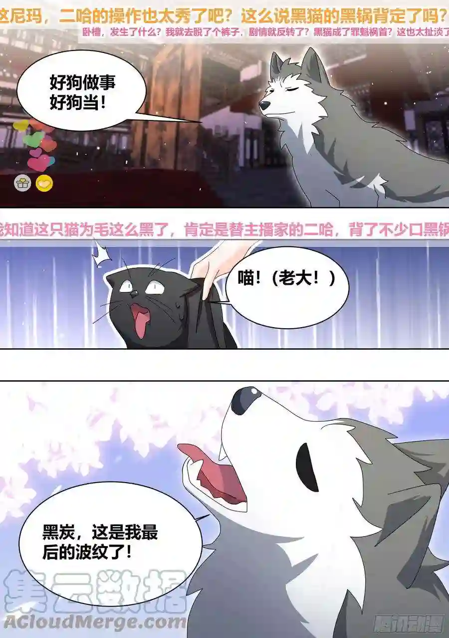 直播：女神家的哈士奇天秀261-黑炭与黑锅