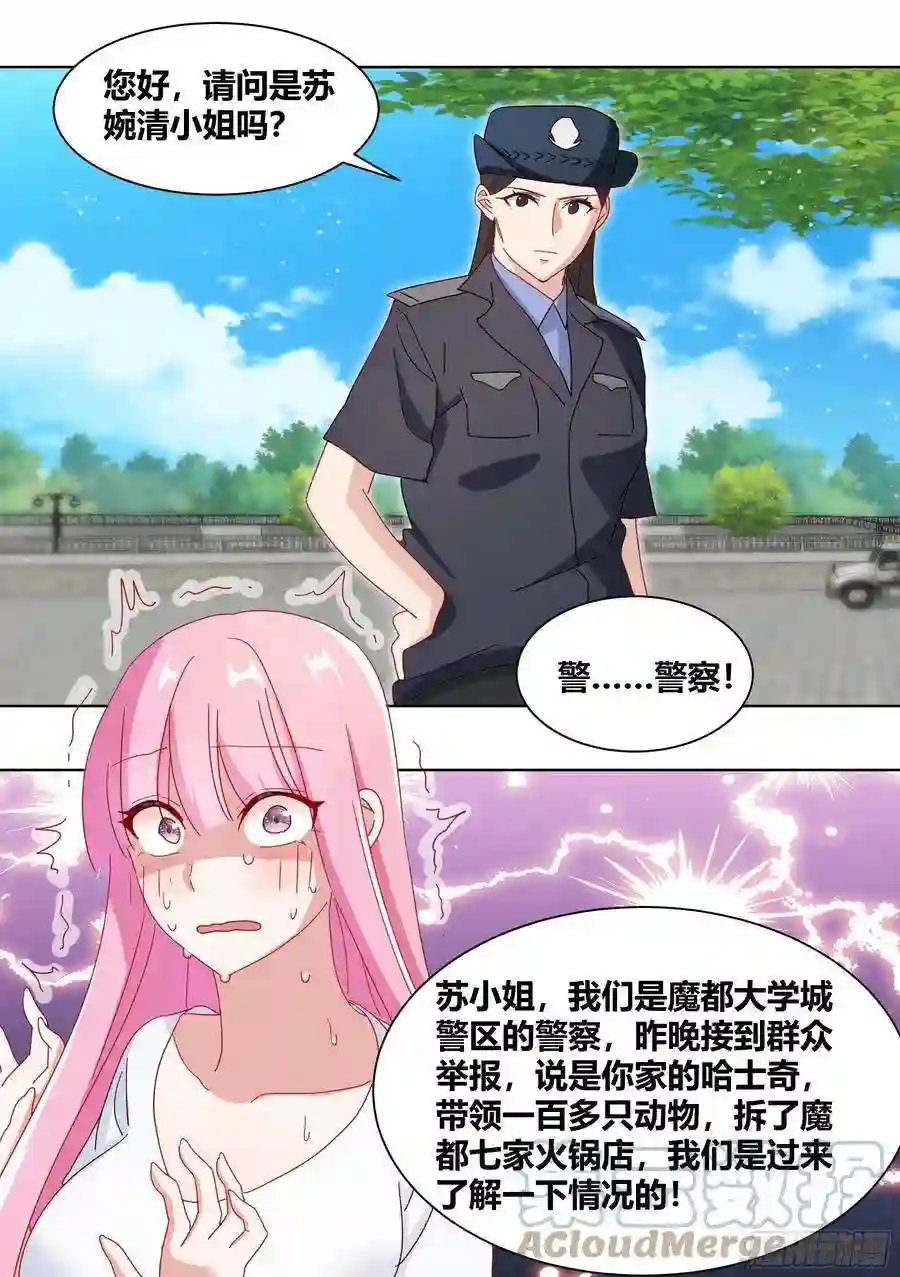 直播：女神家的哈士奇天秀263-无法拒绝的理由