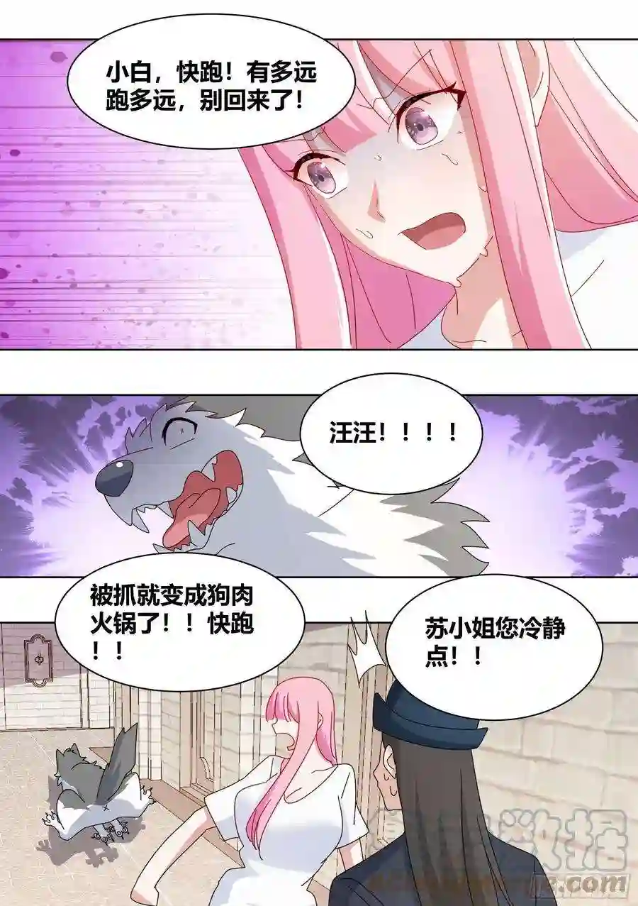 直播：女神家的哈士奇天秀263-无法拒绝的理由