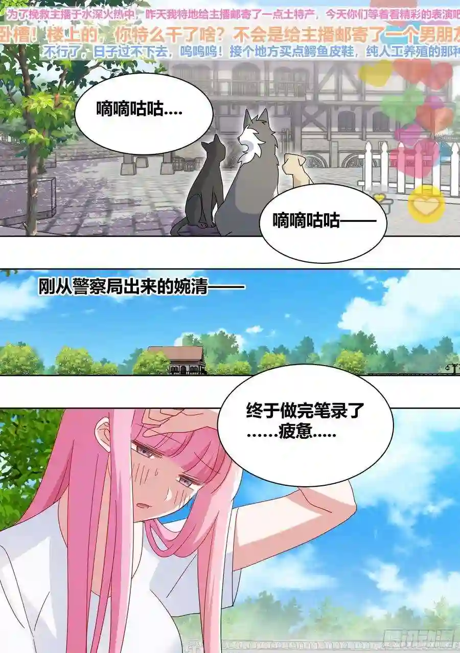 直播：女神家的哈士奇天秀264-三只平头哥
