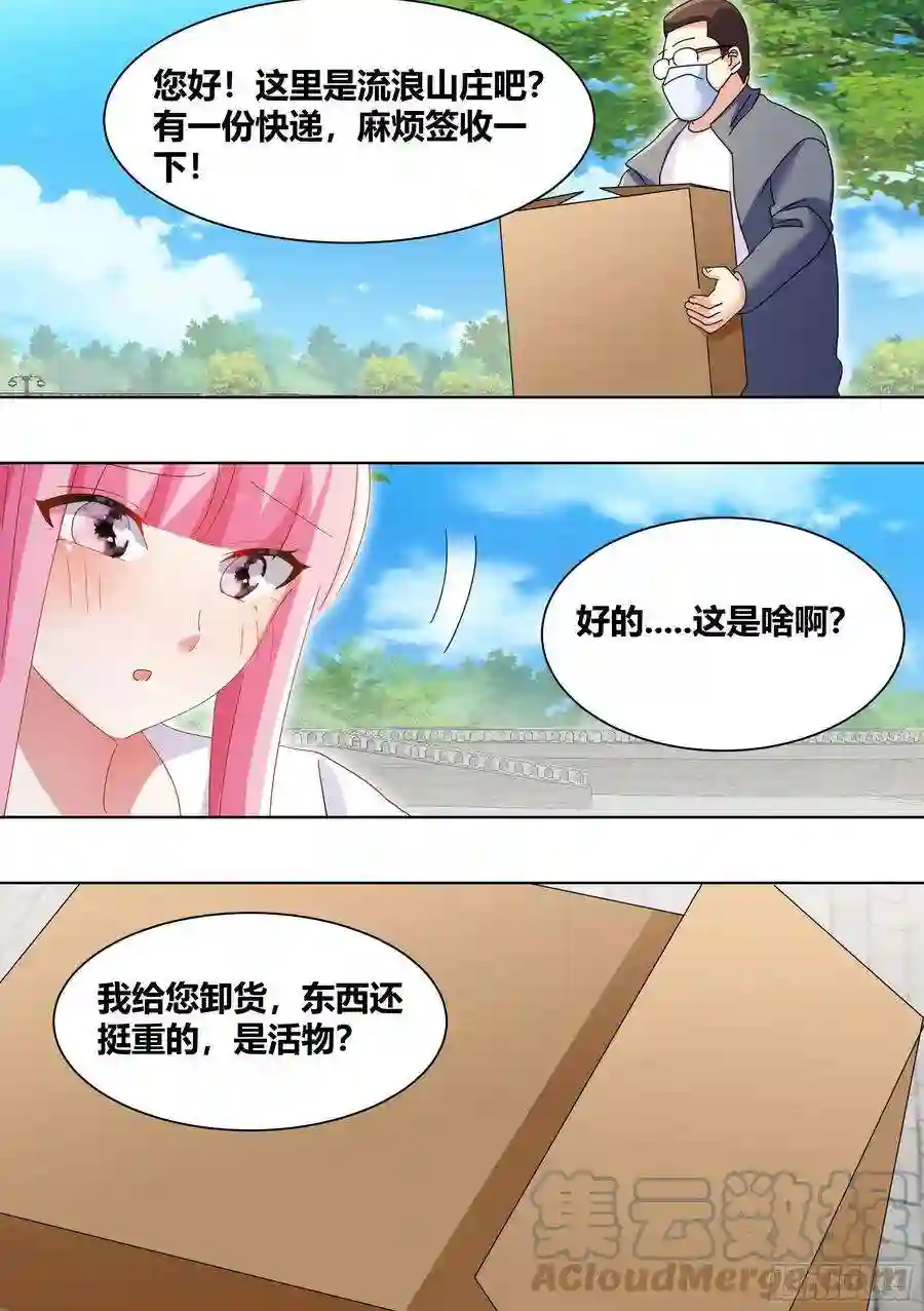直播：女神家的哈士奇天秀264-三只平头哥