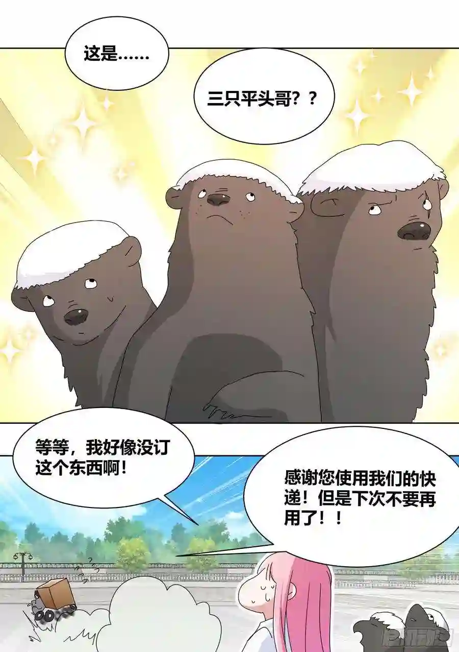 直播：女神家的哈士奇天秀264-三只平头哥