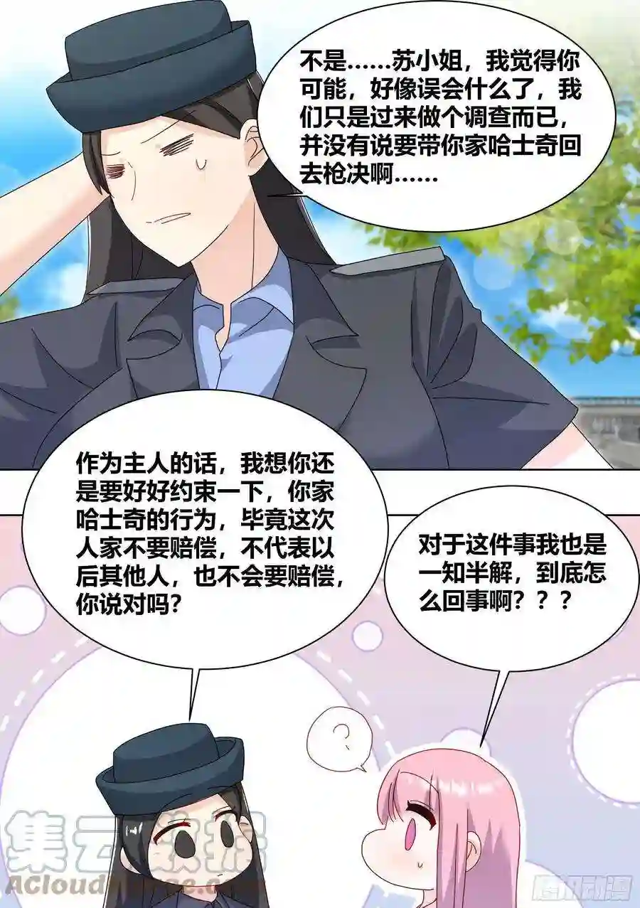 直播：女神家的哈士奇天秀264-三只平头哥