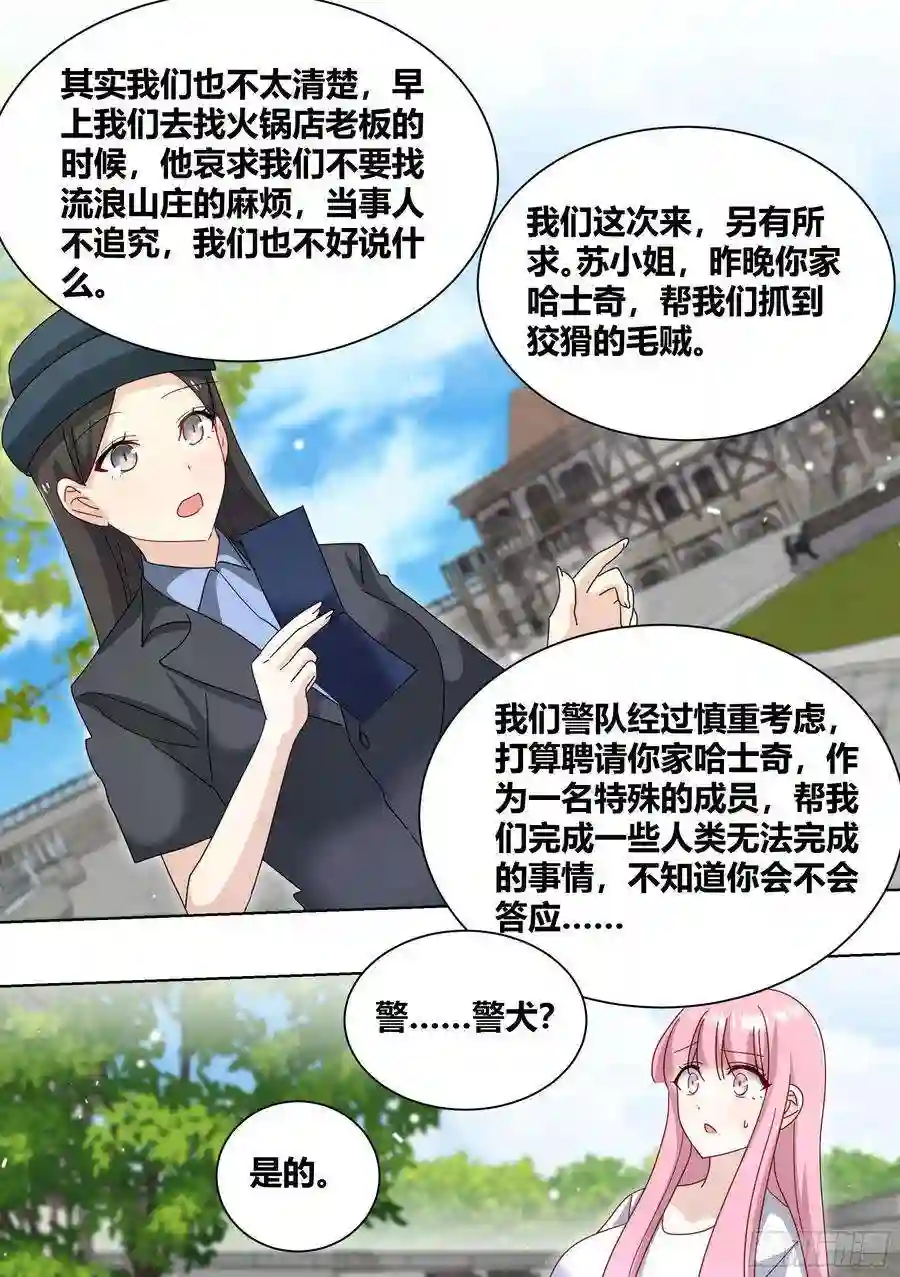 直播：女神家的哈士奇天秀264-三只平头哥