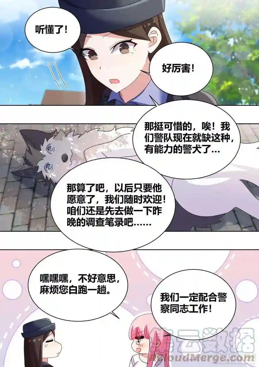 直播：女神家的哈士奇天秀264-三只平头哥