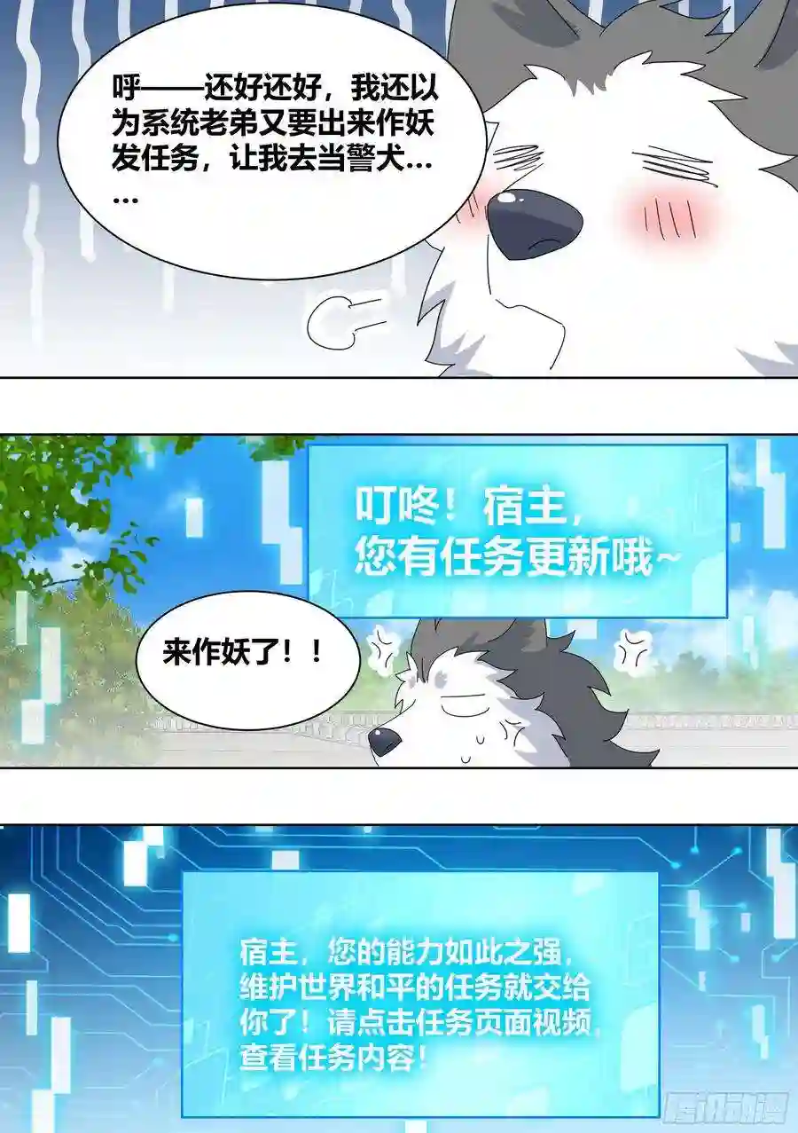 直播：女神家的哈士奇天秀264-三只平头哥