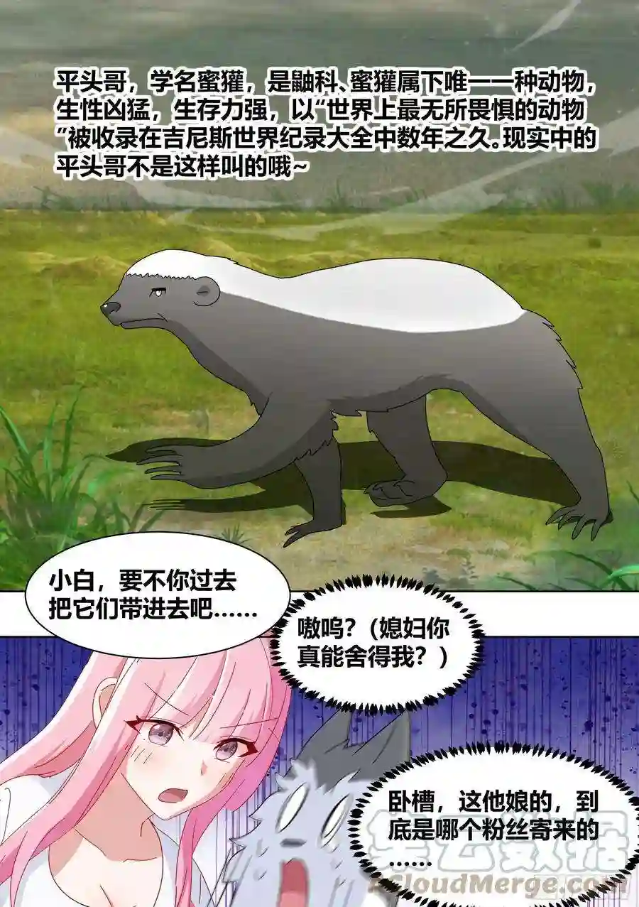 直播：女神家的哈士奇天秀265-新人培训