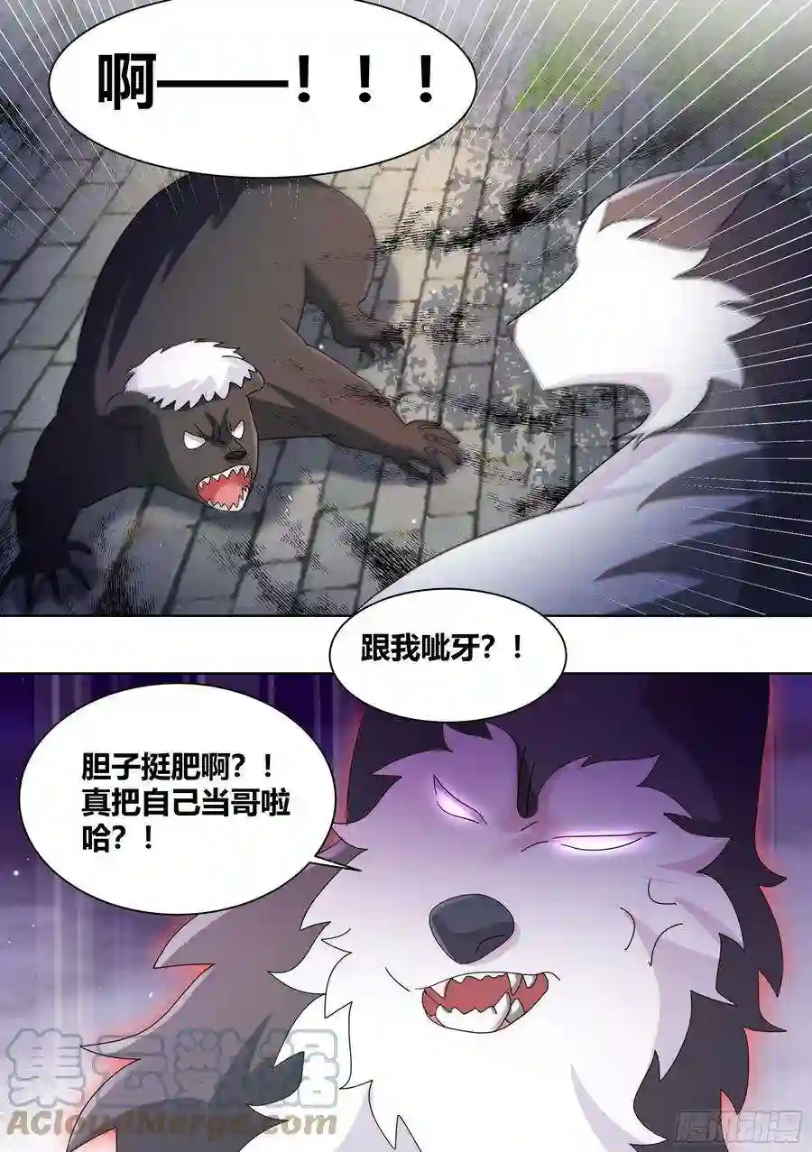 直播：女神家的哈士奇天秀265-新人培训