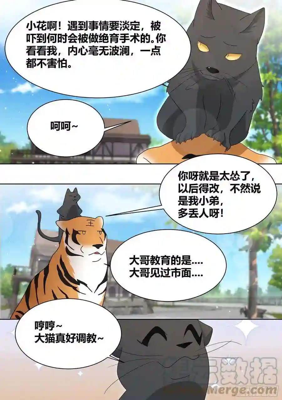 直播：女神家的哈士奇天秀266-素心莲子