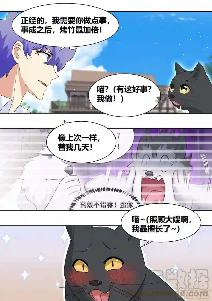 直播：女神家的哈士奇天秀267-照顾大嫂