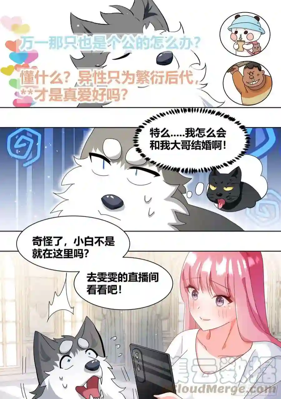 直播：女神家的哈士奇天秀269-敢伤我的人！