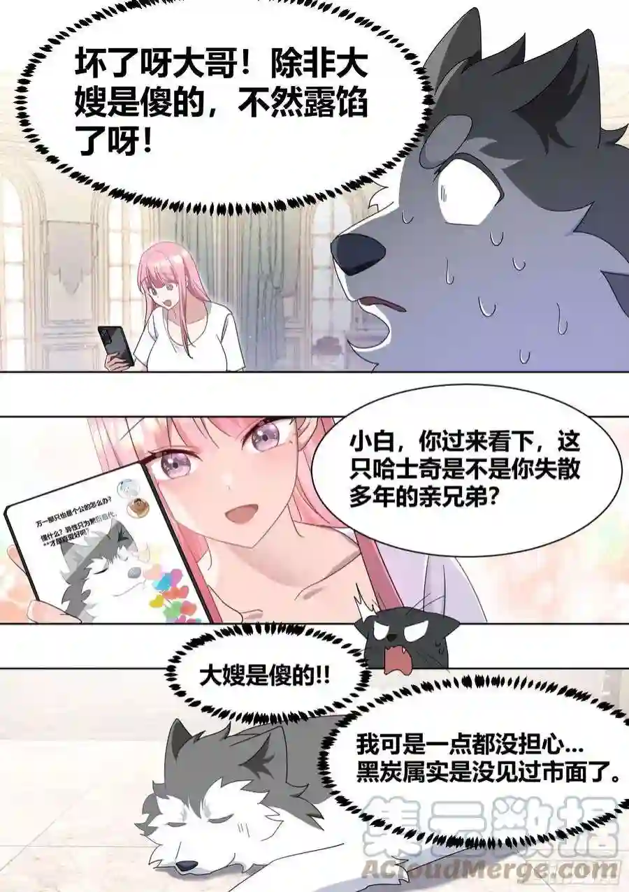 直播：女神家的哈士奇天秀269-敢伤我的人！