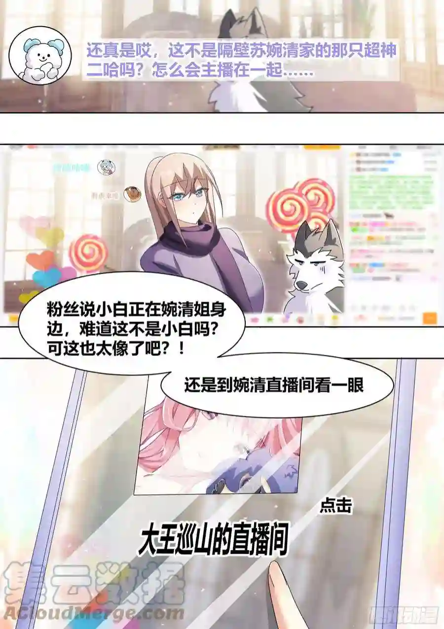 直播：女神家的哈士奇天秀269-敢伤我的人！