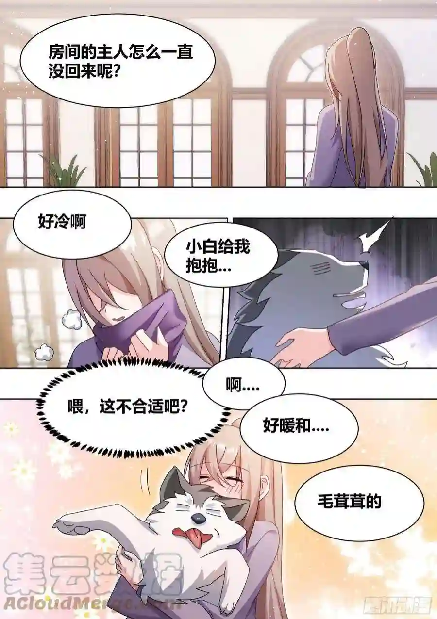 直播：女神家的哈士奇天秀270-狗拉雪橇