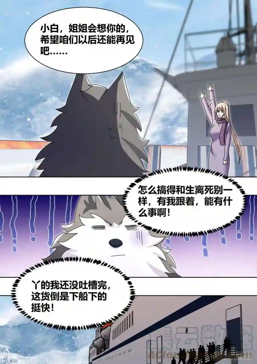直播：女神家的哈士奇天秀270-狗拉雪橇