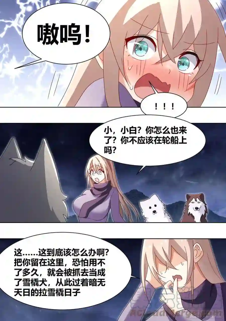 直播：女神家的哈士奇天秀270-狗拉雪橇