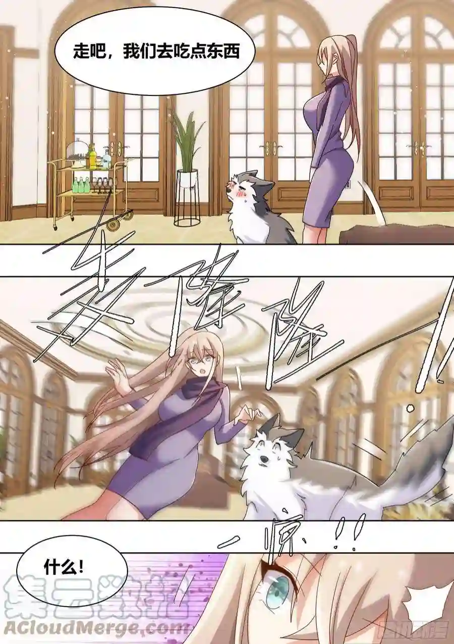 直播：女神家的哈士奇天秀270-狗拉雪橇