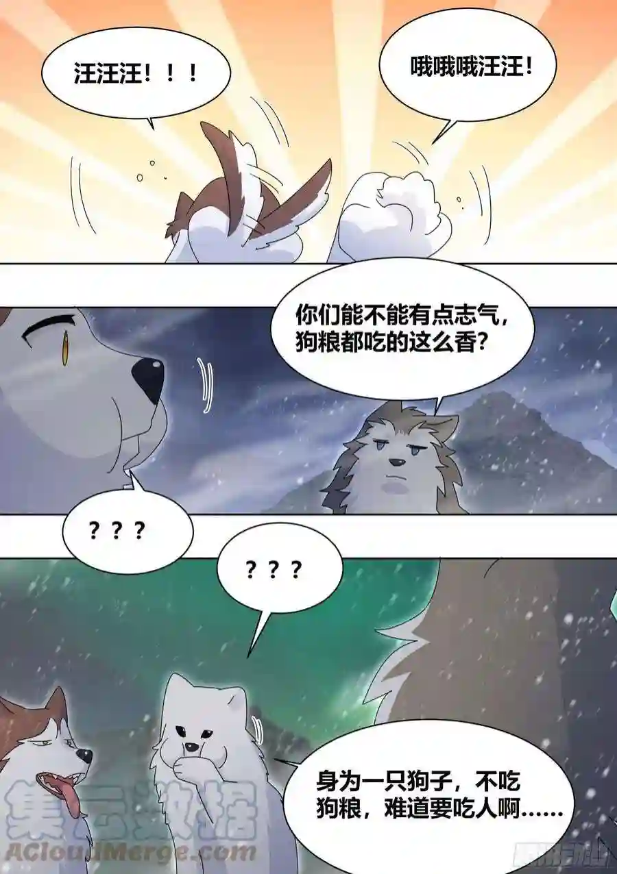 直播：女神家的哈士奇天秀271-狩猎白熊