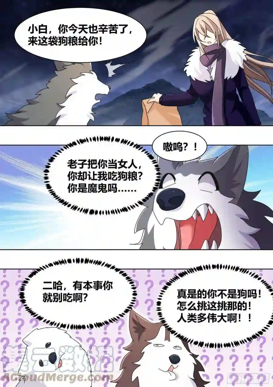 直播：女神家的哈士奇天秀271-狩猎白熊