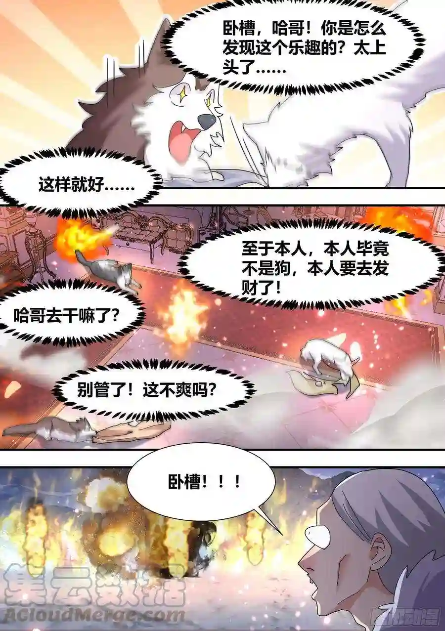 直播：女神家的哈士奇天秀273-献祭