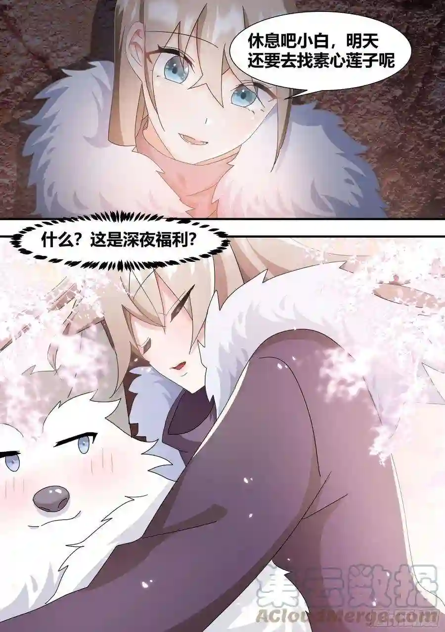 直播：女神家的哈士奇天秀275-素子莲心