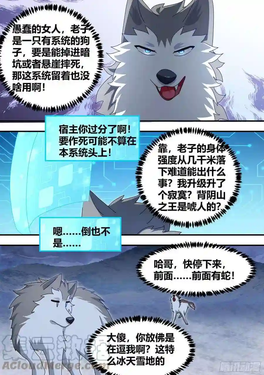 直播：女神家的哈士奇天秀275-素子莲心